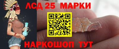 стаф Кингисепп