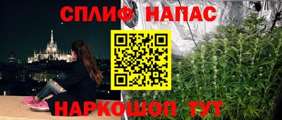 стаф Кингисепп