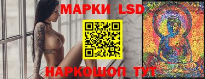 стаф Кингисепп