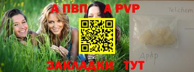 стаф Кингисепп