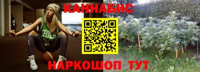 стаф Кингисепп