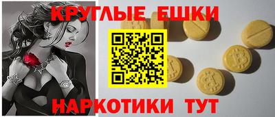 стаф Кингисепп