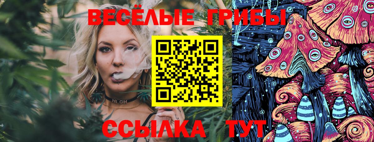 Галлюциногенные грибы мицелий Урус-Мартан