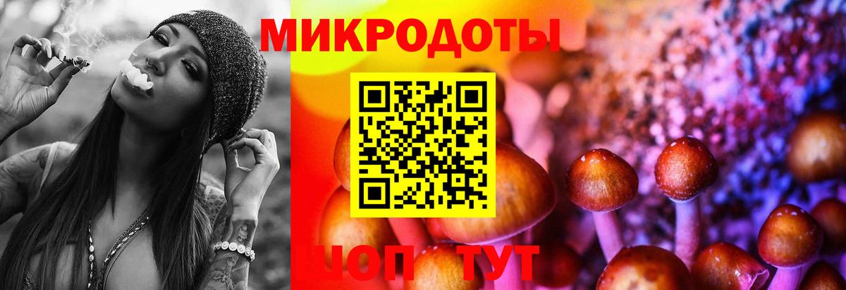 Псилоцибиновые грибы Psilocybine cubensis  Вход с VPN  Урус-Мартан 